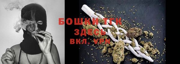 PSILOCYBIN Алексеевка