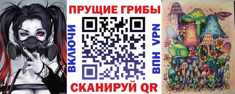 цены наркотик  Сорочинск  Галлюциногенные грибы GOLDEN TEACHER 