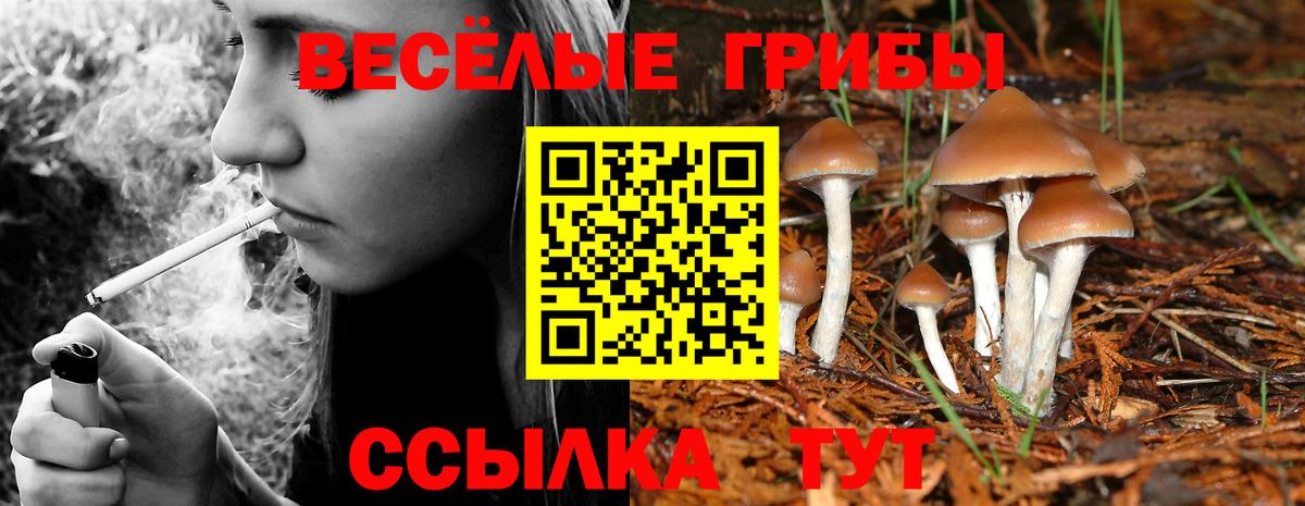 Псилоцибиновые грибы ЛСД Сорочинск