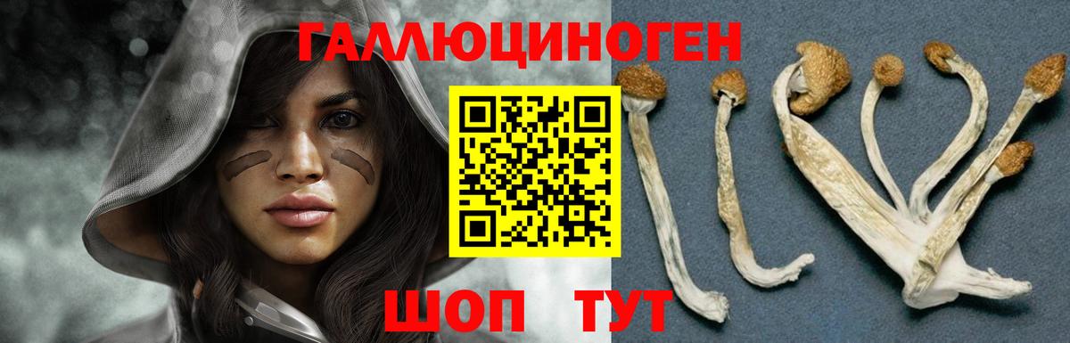 Сорочинск  Галлюциногенные грибы ЛСД  Галлюциногенные грибы прущие грибы  Вход с VPN 
