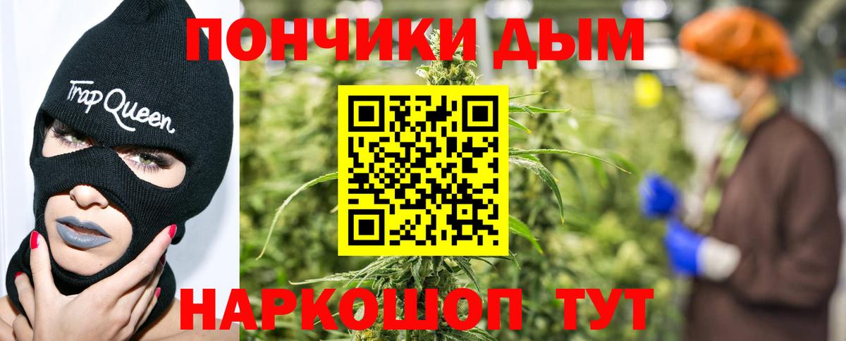 Конопля Bruce Banner  Каннабис планчик  Сорочинск  Канабис планчик  Конопля SATIVA & INDICA  Вход с VPN 